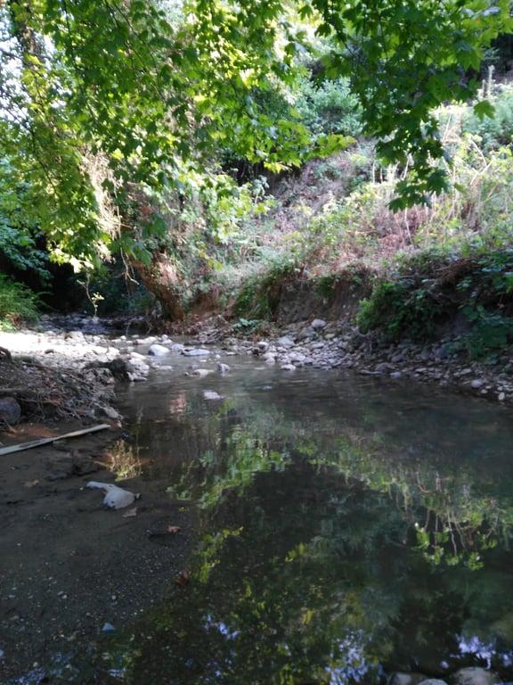 Osmangazi Belediyesi Değirmen Parkı Restaurant & Cafe fotoğraf 10