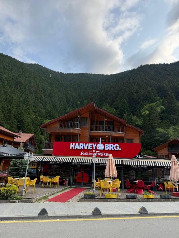 Harvey Burger Uzungöl fotoğraf 7