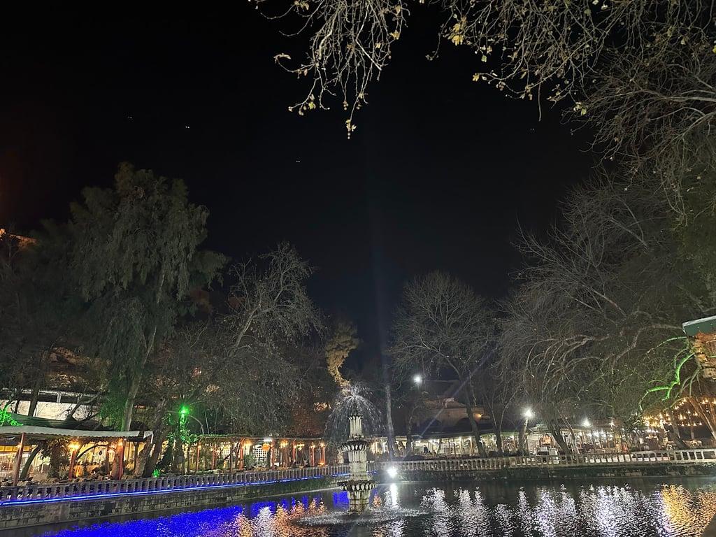 Urfa Sıra Gecesi fotoğraf 11