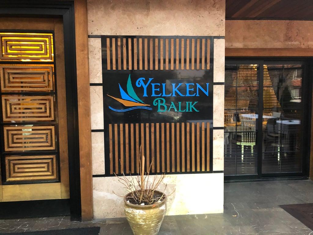Yelken Balık