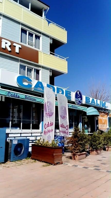 Cadde Balıkçısı fotoğraf 8