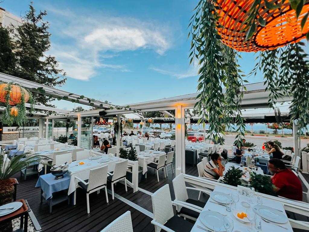 SERPME BALIK EVİ