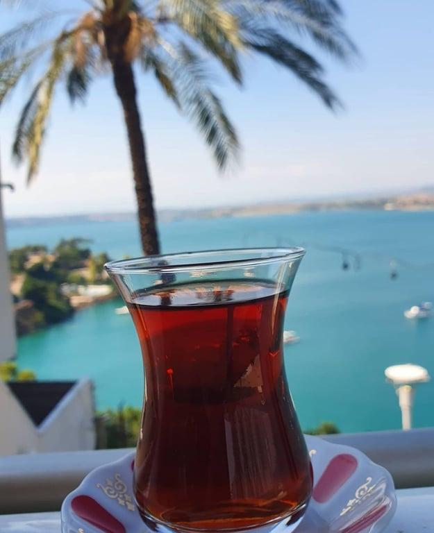 Emirgan Sütiş Park Zirve fotoğraf 5
