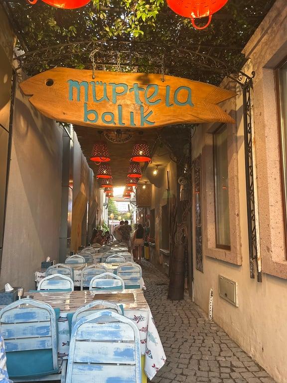 Müptela Balık fotoğraf 6