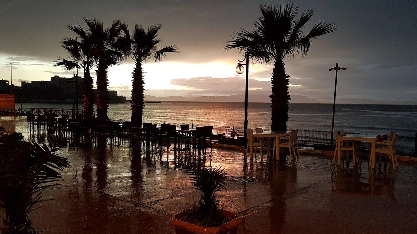 Palm Beach Cafe Restaurant-bar fotoğraf 2
