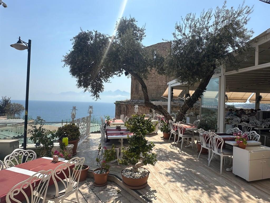 Sauvignon Restaurant fotoğraf 2