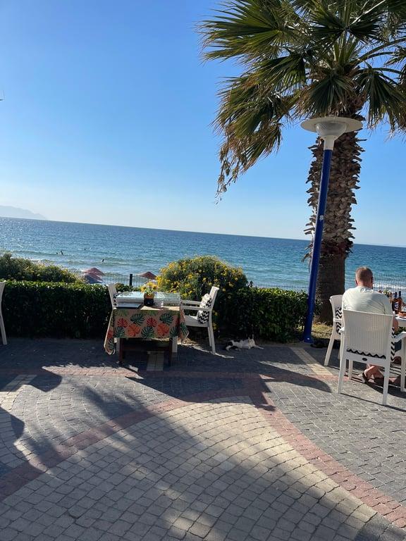 Palm Beach Cafe Restaurant-bar fotoğraf 3
