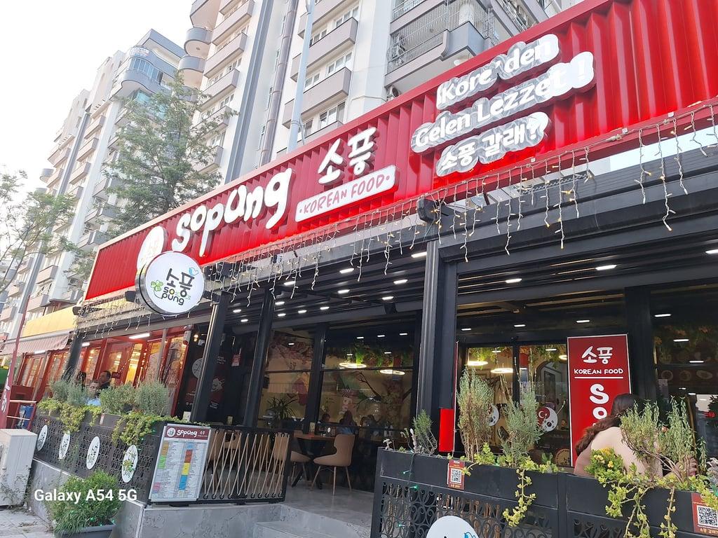 Sopung Adana fotoğraf 8