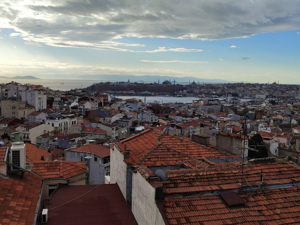 Terrace 41