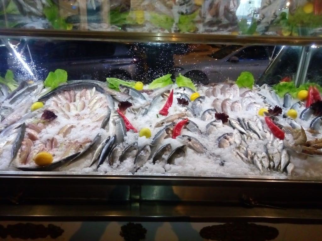 Cadde Balıkçısı fotoğraf 15