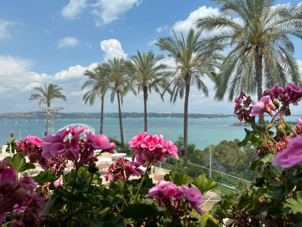Emirgan Sütiş Park Zirve fotoğraf 9