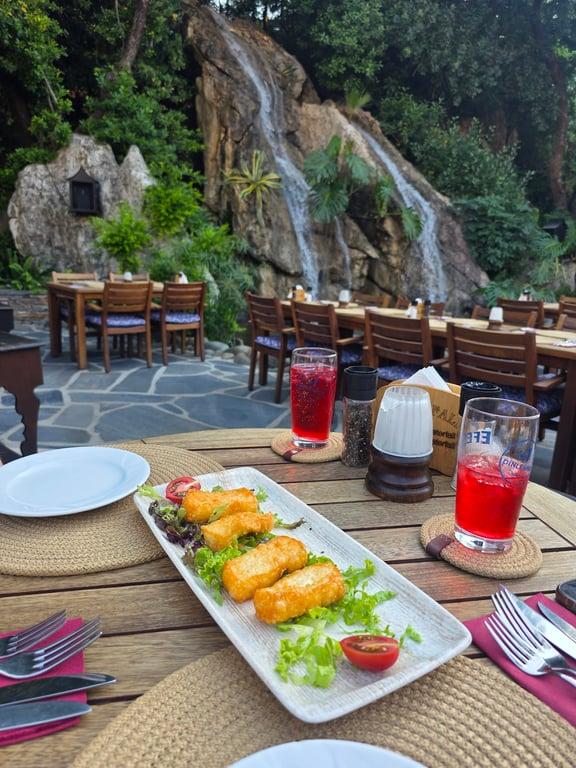 Waterfall Restaurant