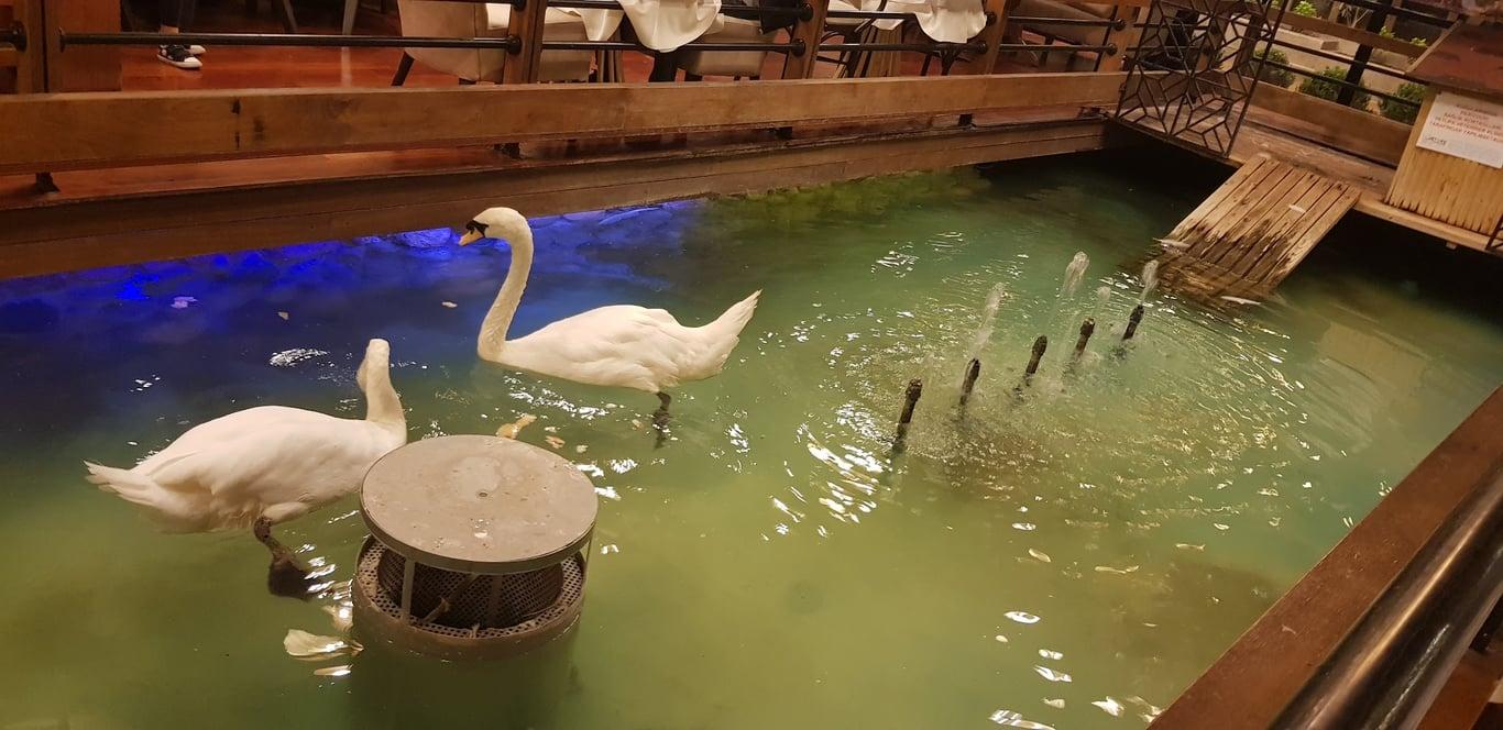 Tavacı Recep Usta Ümitköy - Ankara fotoğraf 2