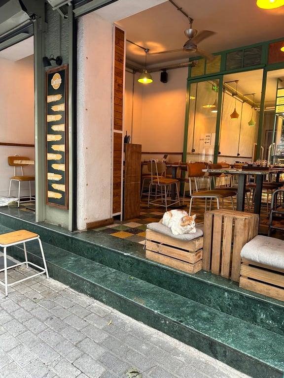 Cantine