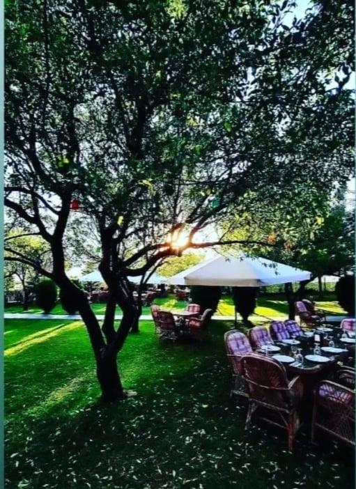 Çınarlı Cafe & Restaurant fotoğraf 3