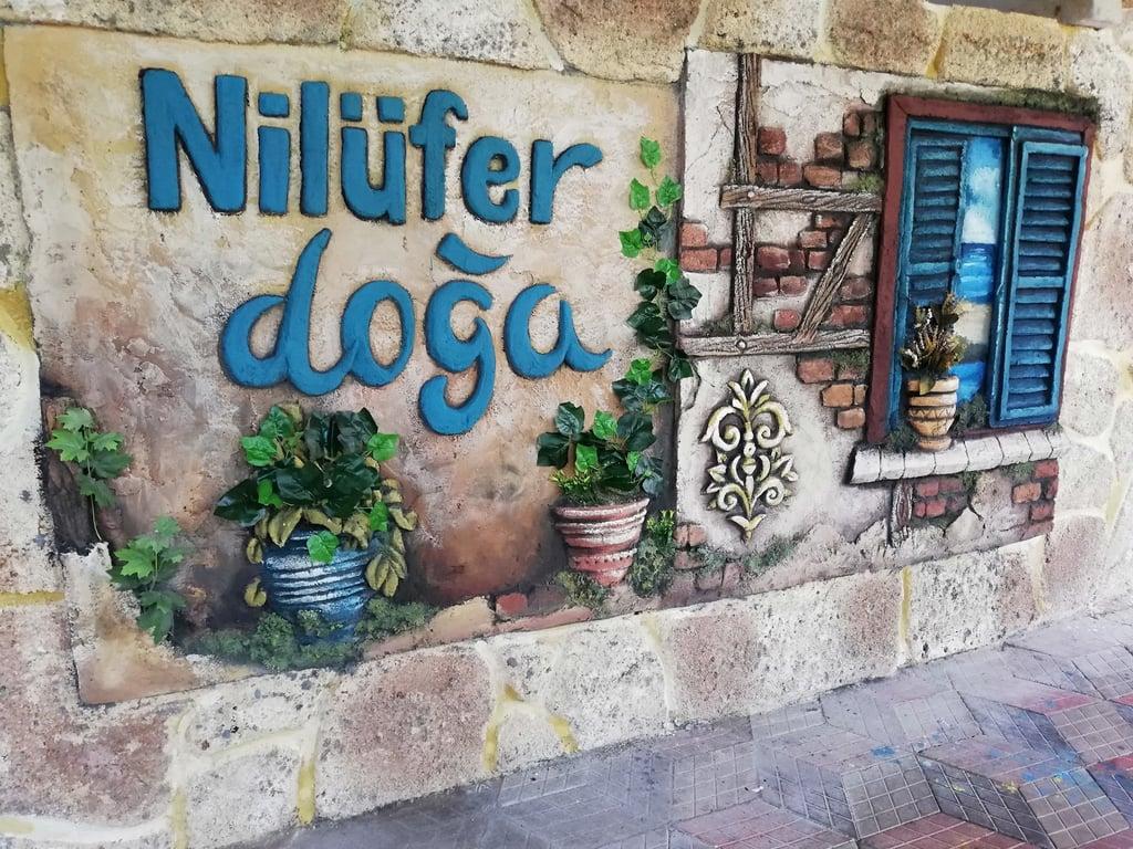 Nilüfer Doğa Restaurant fotoğraf 2