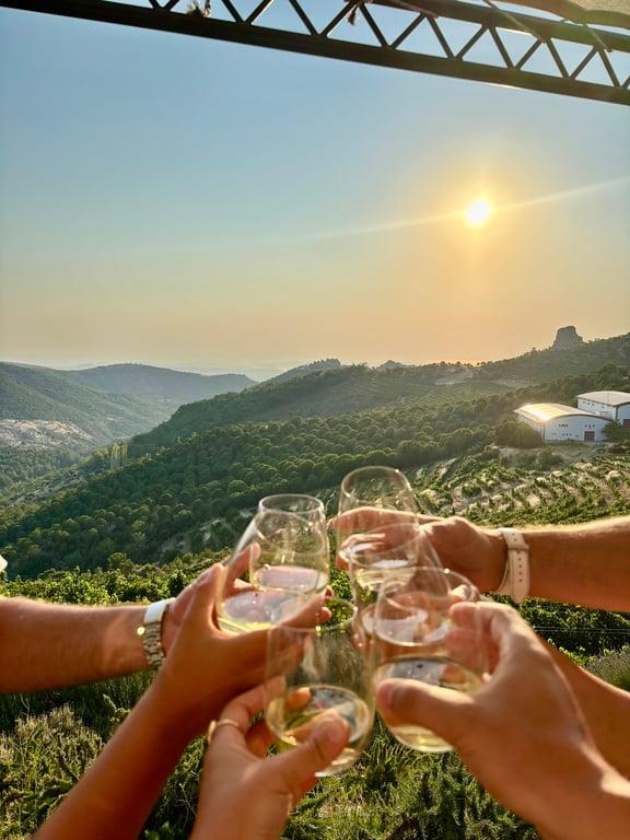 Ma adra vineyards fotoğraf 5