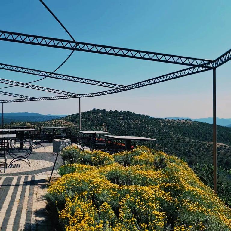 Ma adra vineyards fotoğraf 6
