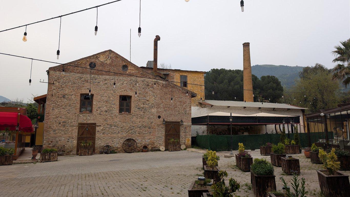 Restoran Artistico fotoğraf 13