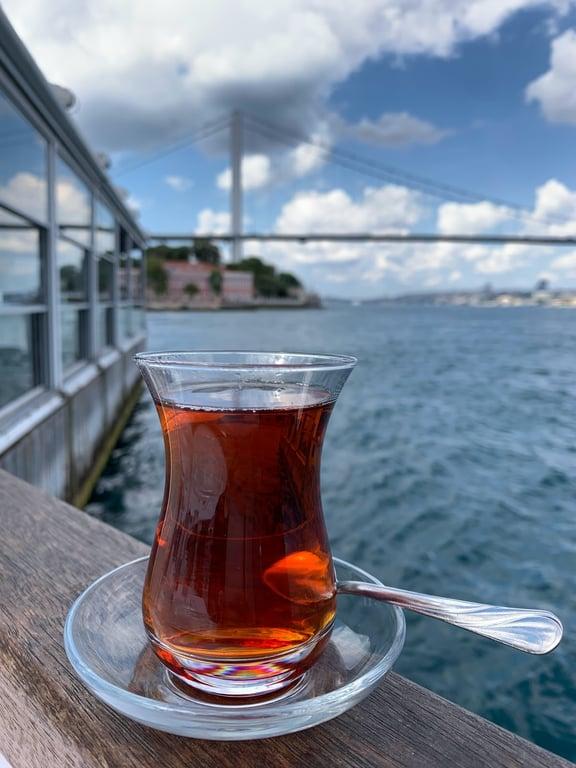 Villa Bosphorus fotoğraf 11
