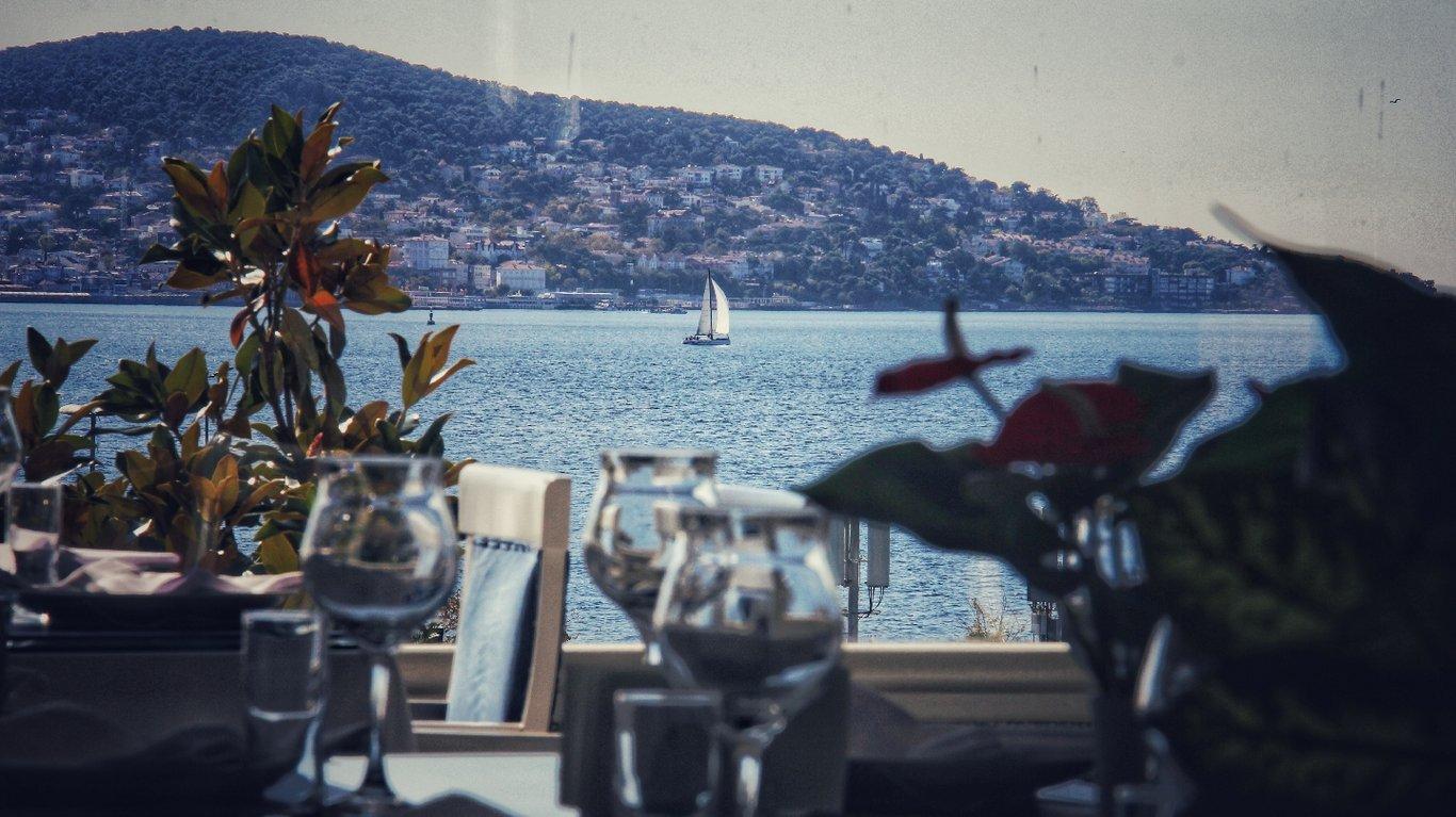 Dragos Balık fotoğraf 8