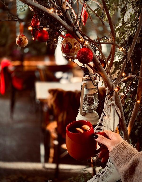 Sardunya Cafe-Winehouse fotoğraf 4